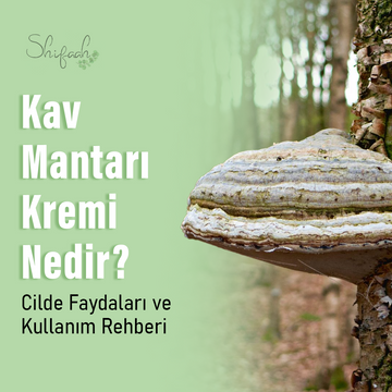 Kav Mantarı Kremi Nedir? Cilde Faydaları ve Kullanım Rehberi