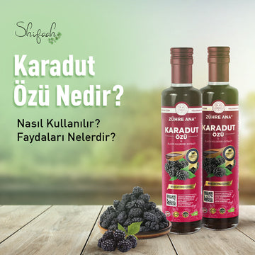 Karadut Özü Nedir? Nasıl Kullanılır? Faydaları Nelerdir?