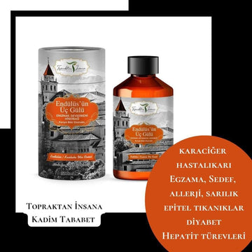 ENGİNAR & DEVE DİKENİ & HİNDİBAĞ EKSTRAKTI